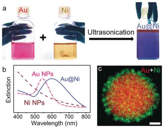 Rational design of bifunctional nanoparticles